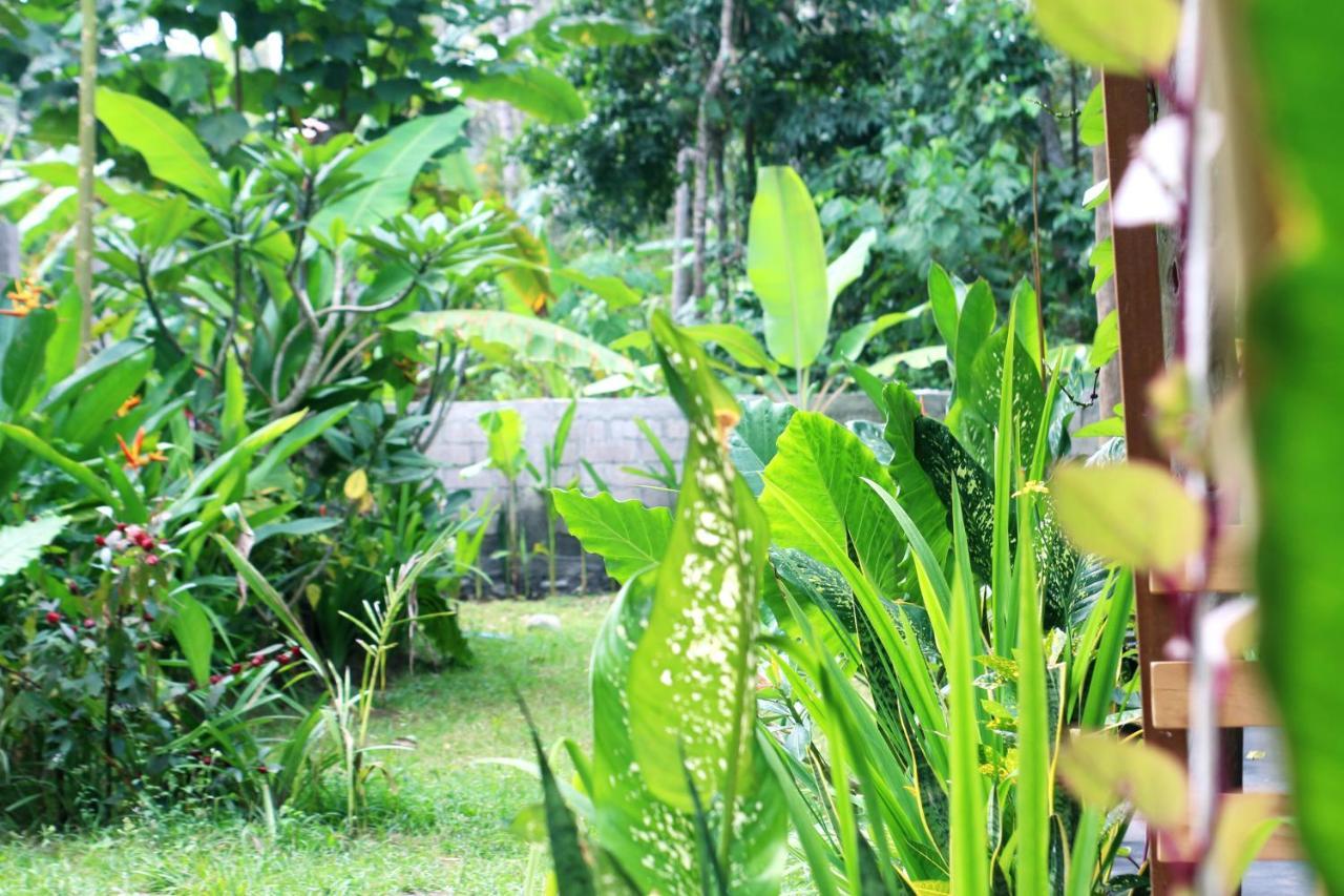 Jungle House - Surf & Stay بولوكان المظهر الخارجي الصورة
