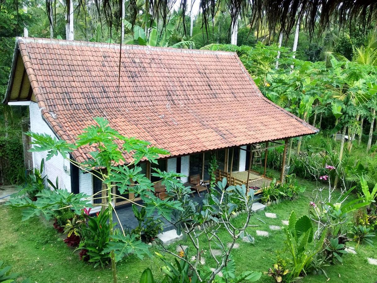 Jungle House - Surf & Stay بولوكان المظهر الخارجي الصورة