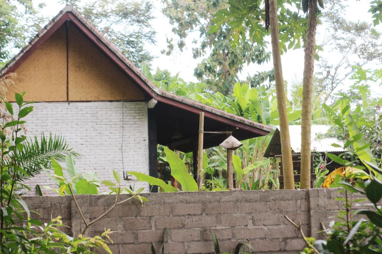 Jungle House - Surf & Stay بولوكان المظهر الخارجي الصورة