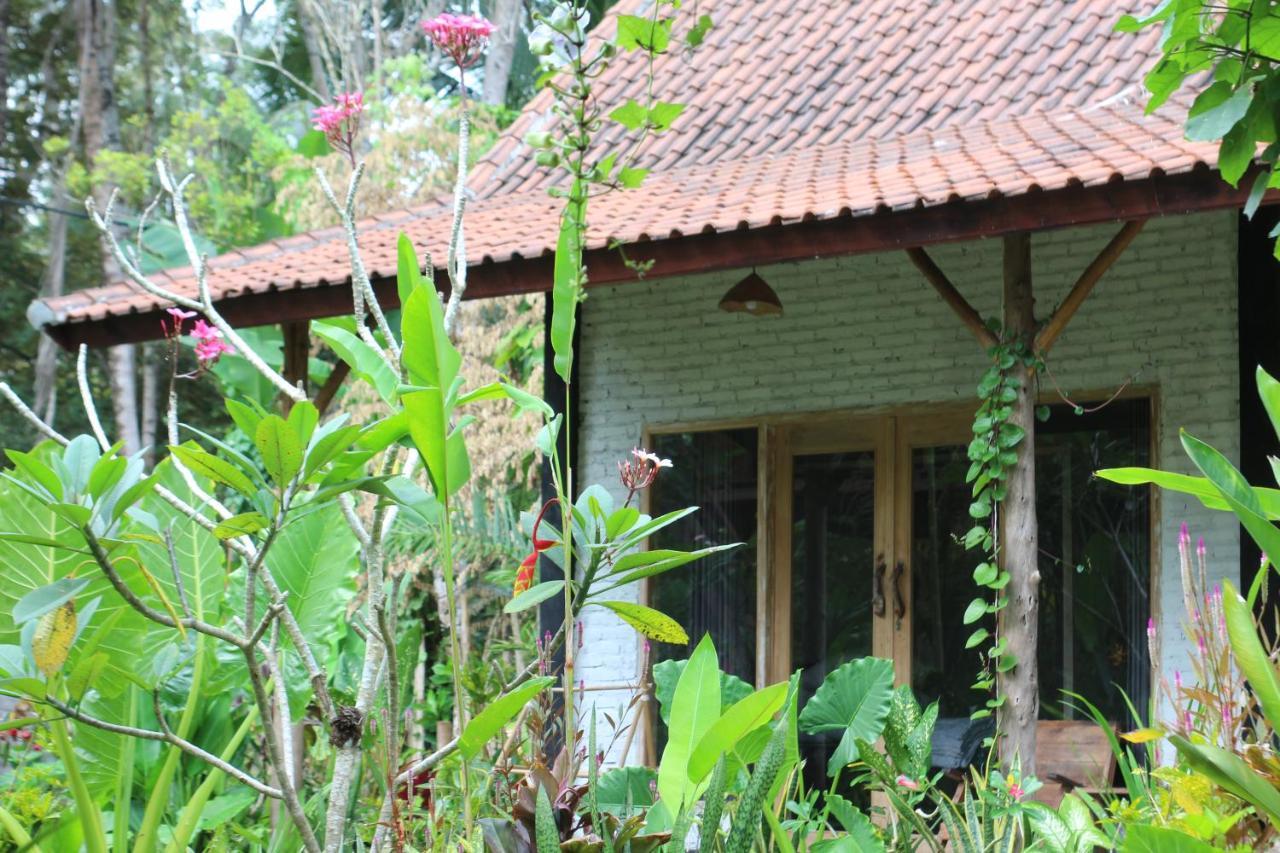 Jungle House - Surf & Stay بولوكان المظهر الخارجي الصورة
