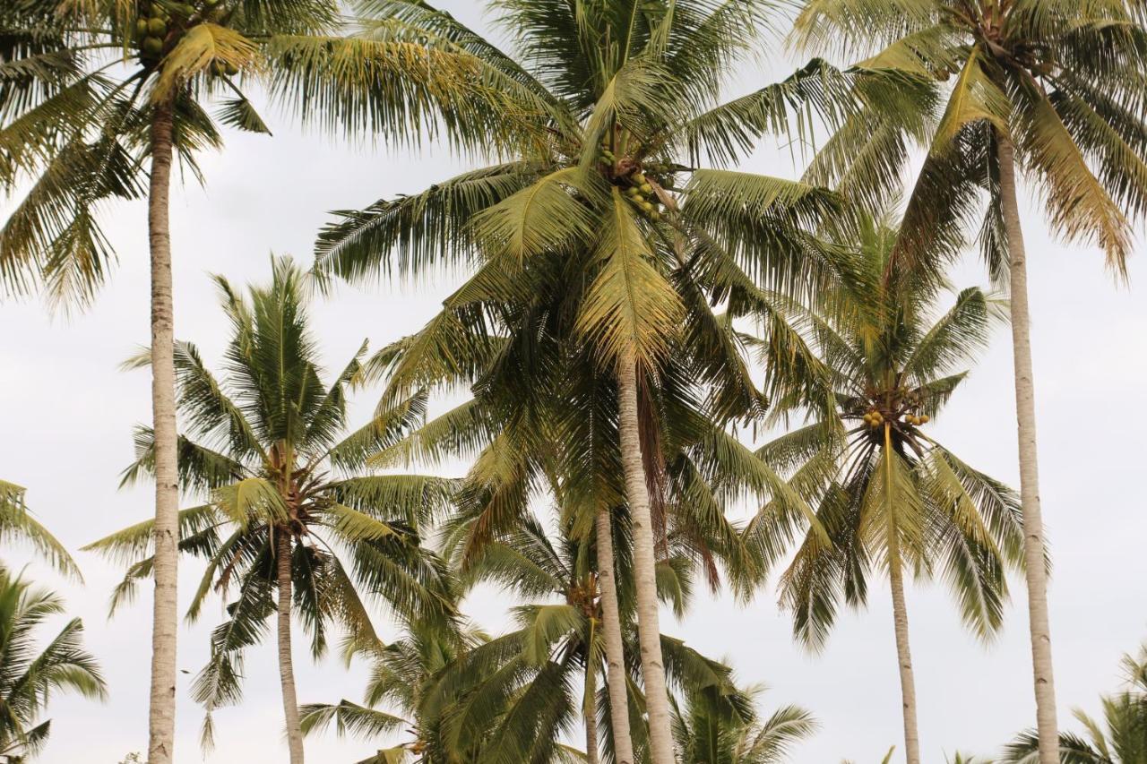 Jungle House - Surf & Stay بولوكان المظهر الخارجي الصورة