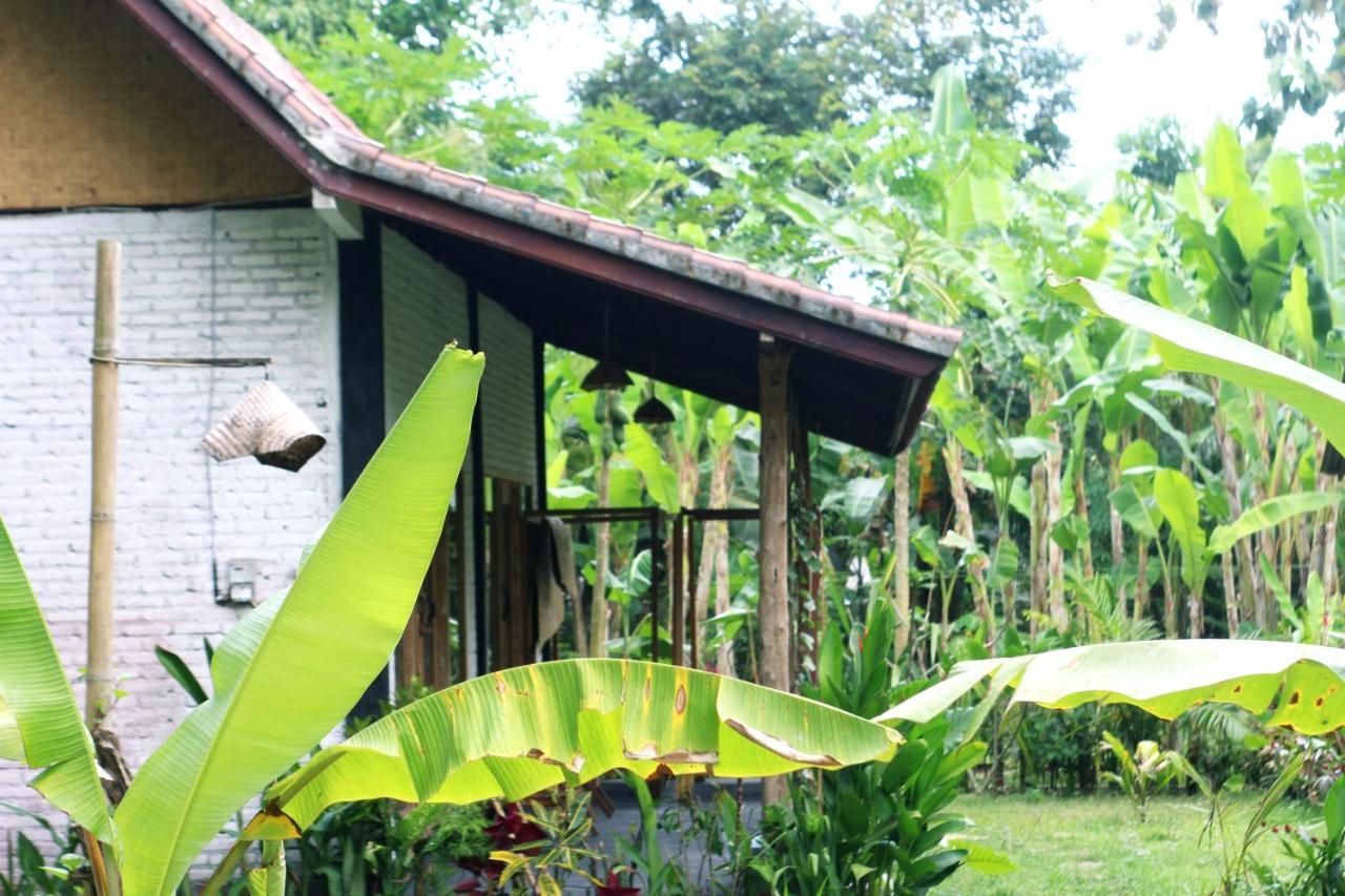 Jungle House - Surf & Stay بولوكان المظهر الخارجي الصورة