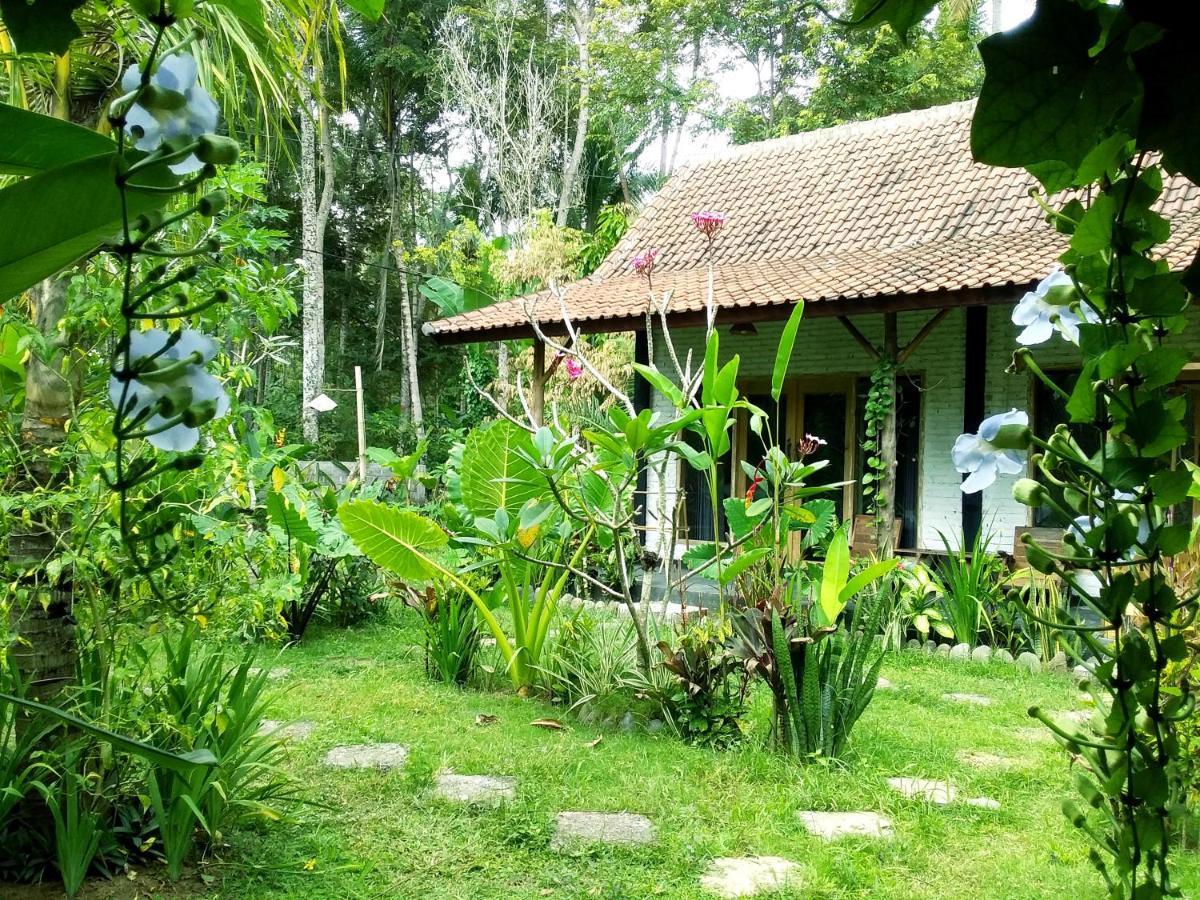 Jungle House - Surf & Stay بولوكان المظهر الخارجي الصورة