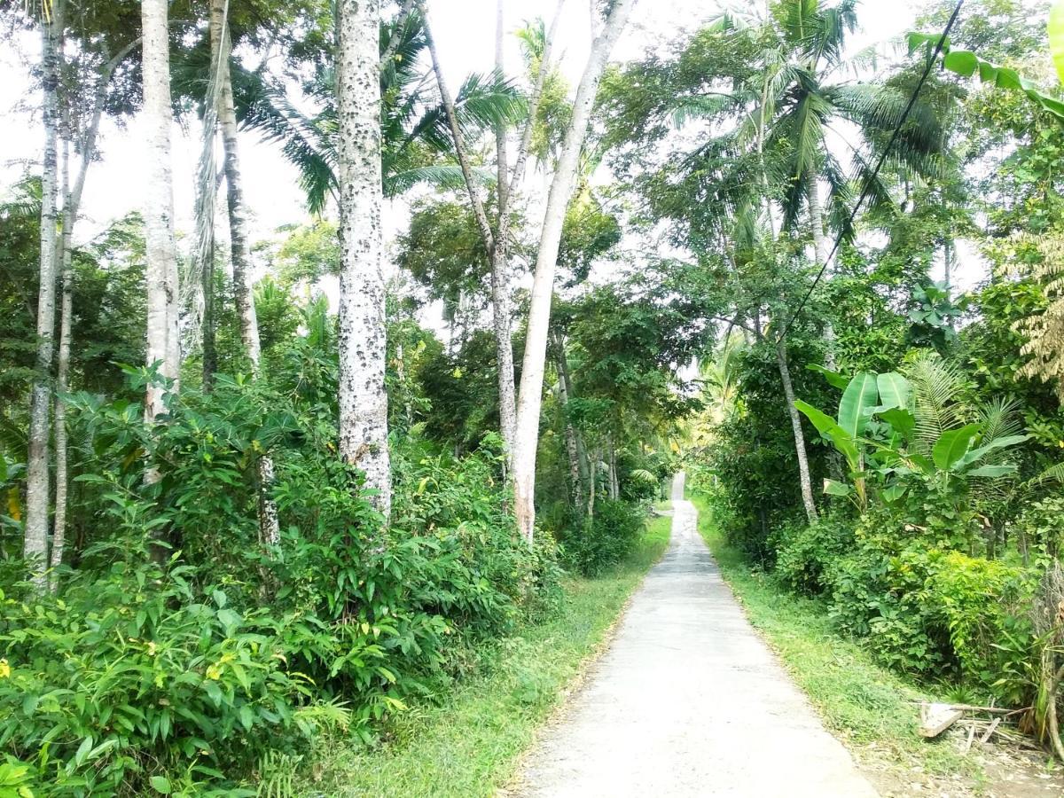 Jungle House - Surf & Stay بولوكان المظهر الخارجي الصورة